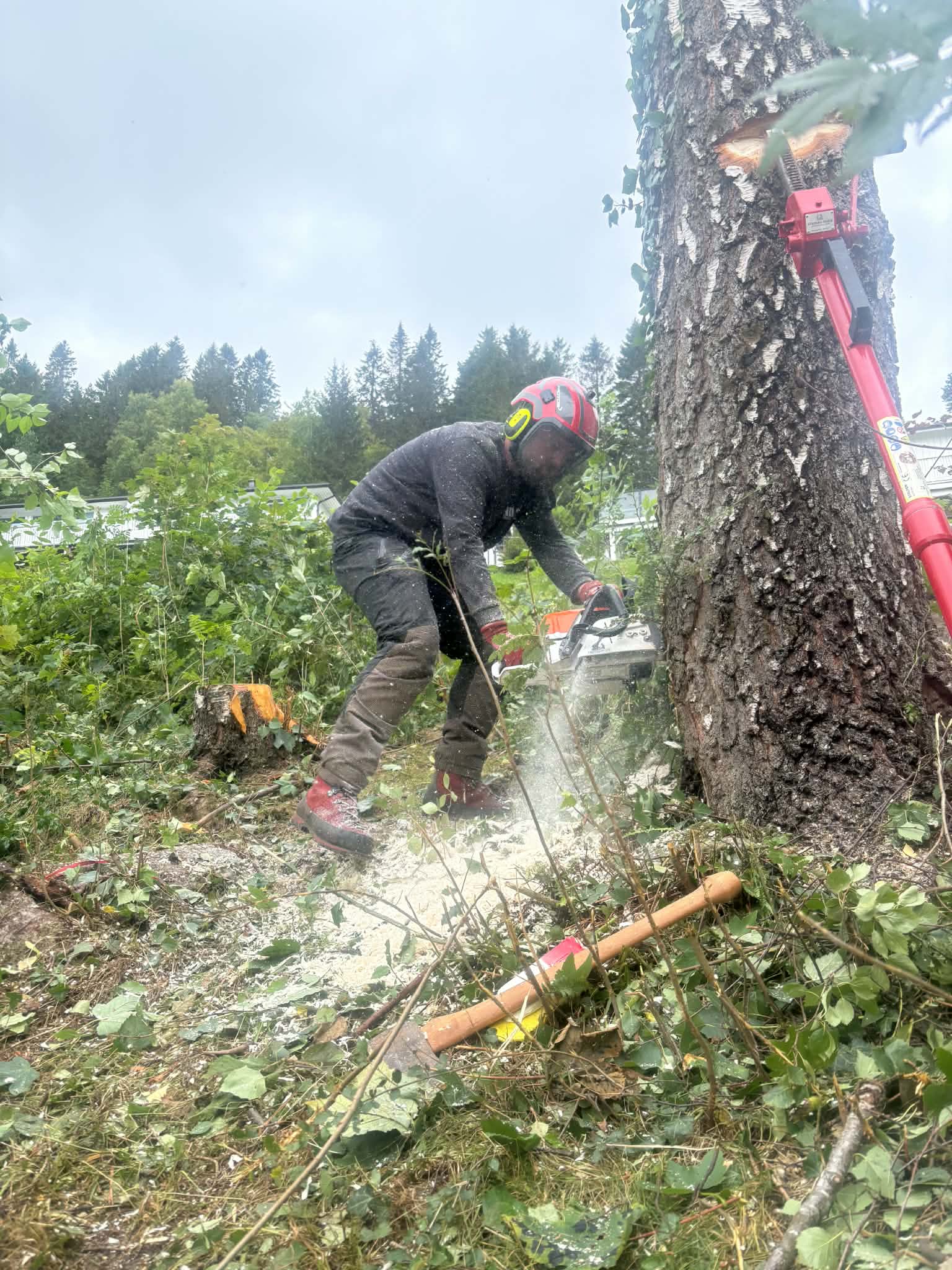 Nilsen Trefelling & Drift i arbeid