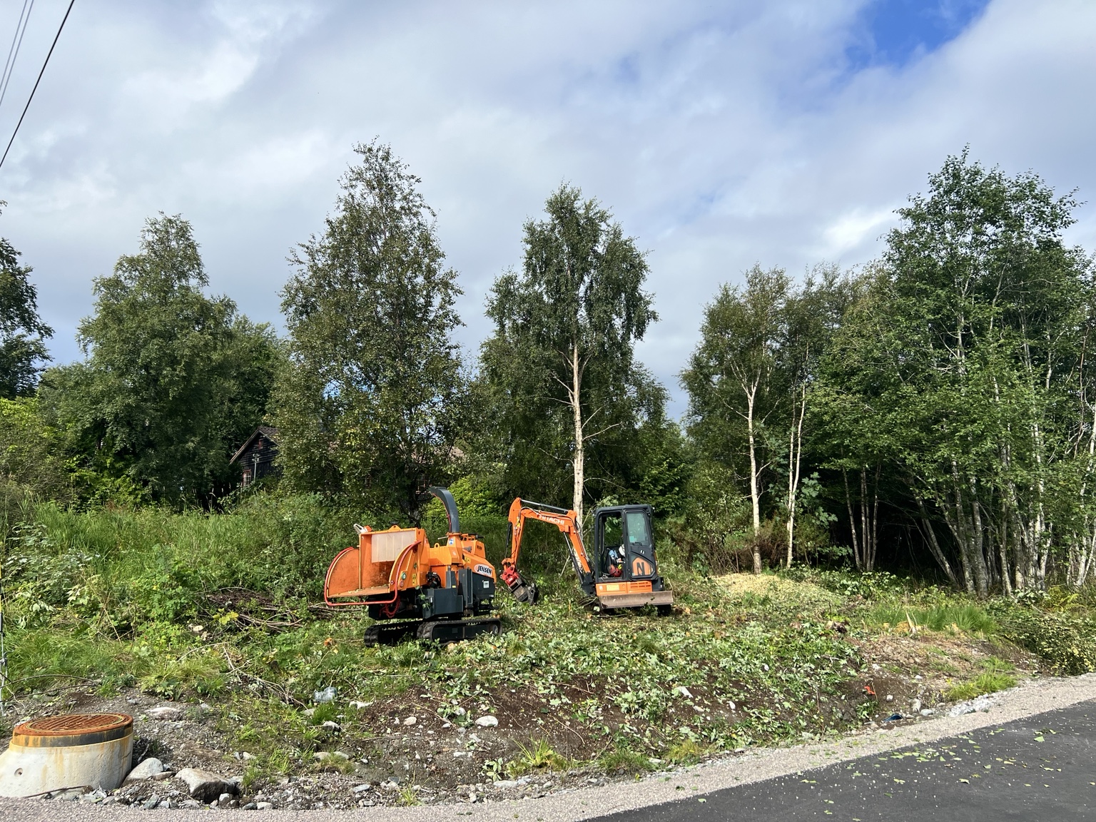 Rydding med flishugger og gravemaskin